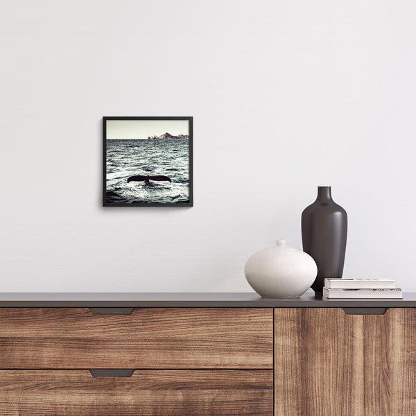 Print, Ballena Azul en Cabo, Natalino Russo, Baja California Gallery