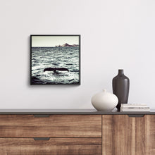 Load image into Gallery viewer, Ballena Azul en Cabo
