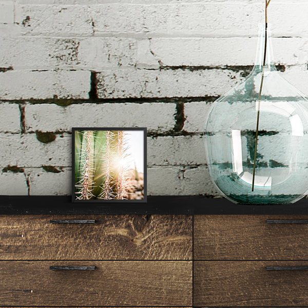 Print, Espinadas en el desierto de Catavina, Giovanni Simeone, Baja California Gallery