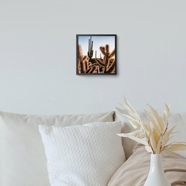 Print, Amenecer en el desierto de Catavina, Giovanni Simeone, Baja California Gallery