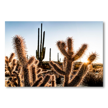 Cargar imagen en el visor de la galería, Amenecer en el desierto de Catavina
