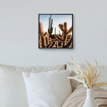 Cargar imagen en el visor de la galería, Amenecer en el desierto de Catavina