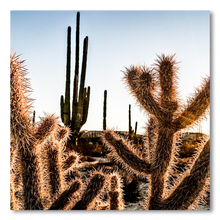 Cargar imagen en el visor de la galería, Amenecer en el desierto de Catavina