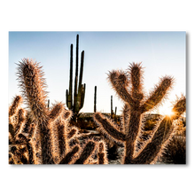 Cargar imagen en el visor de la galería, Amenecer en el desierto de Catavina