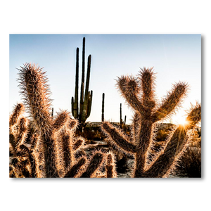 Amenecer en el desierto de Catavina