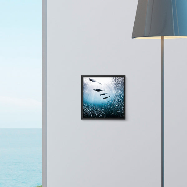 Print, Cabo Pulmo, Carlos Aguilera, Baja California Gallery