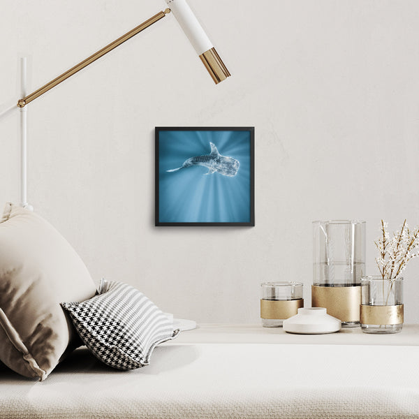 Print, Tiburon Ballena, Carlos Aguilera, Baja California Gallery