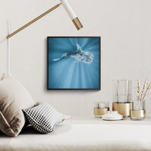 Load image into Gallery viewer, Tiburon Ballena #1