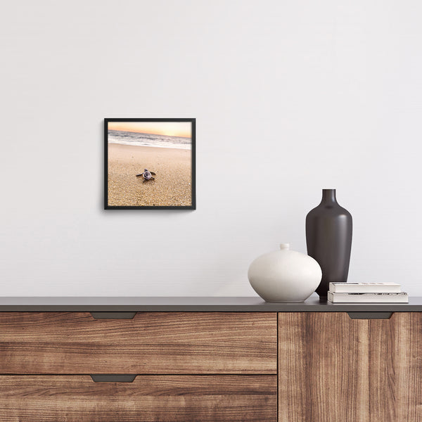 Print, Tortuga de Todos Santos, Giovanni Simeone, Baja California Gallery