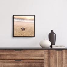 Load image into Gallery viewer, Tortuga de Todos Santos #2