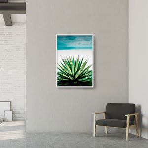 Agave