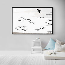 Load image into Gallery viewer, Fregatas