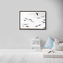 Load image into Gallery viewer, Fregatas