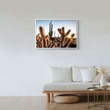 Cargar imagen en el visor de la galería, Amenecer en el desierto de Catavina