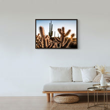 Cargar imagen en el visor de la galería, Amenecer en el desierto de Catavina