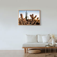 Cargar imagen en el visor de la galería, Amenecer en el desierto de Catavina