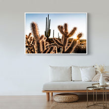 Cargar imagen en el visor de la galería, Amenecer en el desierto de Catavina