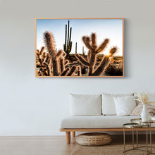 Cargar imagen en el visor de la galería, Amenecer en el desierto de Catavina