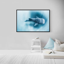 Load image into Gallery viewer, Tiburon Ballena #2