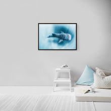 Load image into Gallery viewer, Tiburon Ballena #2