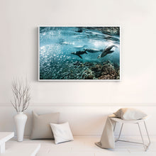 Load image into Gallery viewer, Los Lobos Marinos