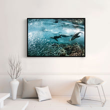 Load image into Gallery viewer, Los Lobos Marinos