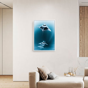 Mantarrayas #2
