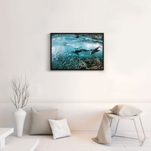 Load image into Gallery viewer, Los Lobos Marinos