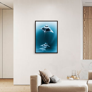 Mantarrayas #2