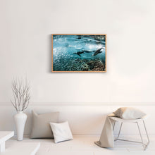 Load image into Gallery viewer, Los Lobos Marinos