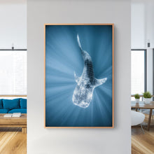Load image into Gallery viewer, Tiburon Ballena #1