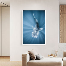 Load image into Gallery viewer, Tiburon Ballena #1