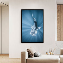 Load image into Gallery viewer, Tiburon Ballena #1