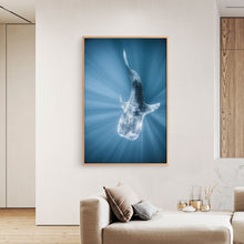 Load image into Gallery viewer, Tiburon Ballena #1