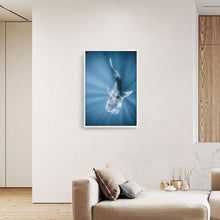 Load image into Gallery viewer, Tiburon Ballena #1