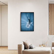 Load image into Gallery viewer, Tiburon Ballena #1