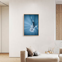 Load image into Gallery viewer, Tiburon Ballena #1