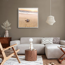 Load image into Gallery viewer, Tortuga de Todos Santos #2