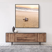 Load image into Gallery viewer, Tortuga de Todos Santos #2