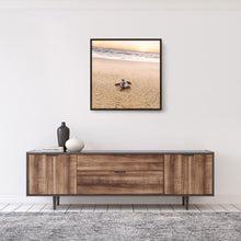 Load image into Gallery viewer, Tortuga de Todos Santos #2
