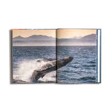 Load image into Gallery viewer, Baja California Peninsula, photography book, stefano frontari, baja california gallery, simebooks