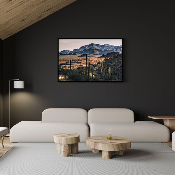 Transpeninsular Road Cactus, Giovanni Simeone, Baja California Gallery