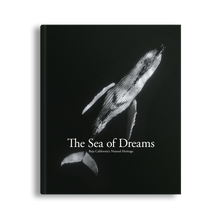 Load image into Gallery viewer, Sea of Dreams, Christopher Swann, Baja California Gallery, simebooks