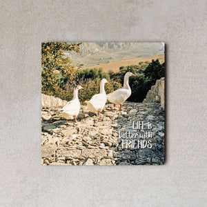MiniWall - Life is better with friends