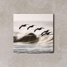 Cargar imagen en el visor de la galería, MiniWall - Baja California, uccelli