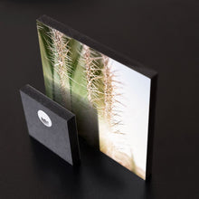 Load image into Gallery viewer, MiniWall - Espinas en el desierto de Catavina