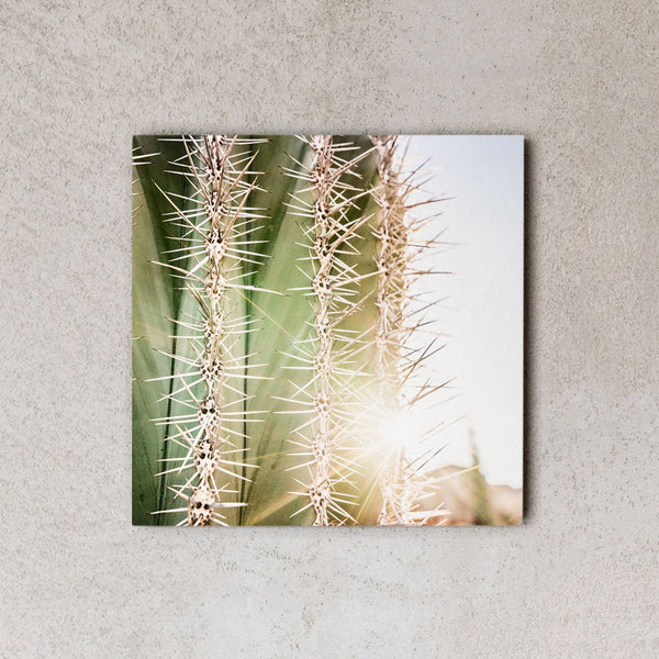 MiniWall - Deserto di Catavina, cactus