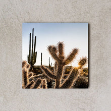 Load image into Gallery viewer, MiniWall - Deserto di Catavina, alba