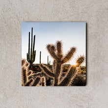 Cargar imagen en el visor de la galería, MiniWall - Deserto di Catavina, alba