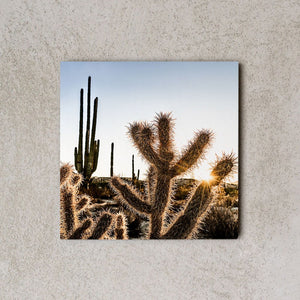 MiniWall - Deserto di Catavina, alba